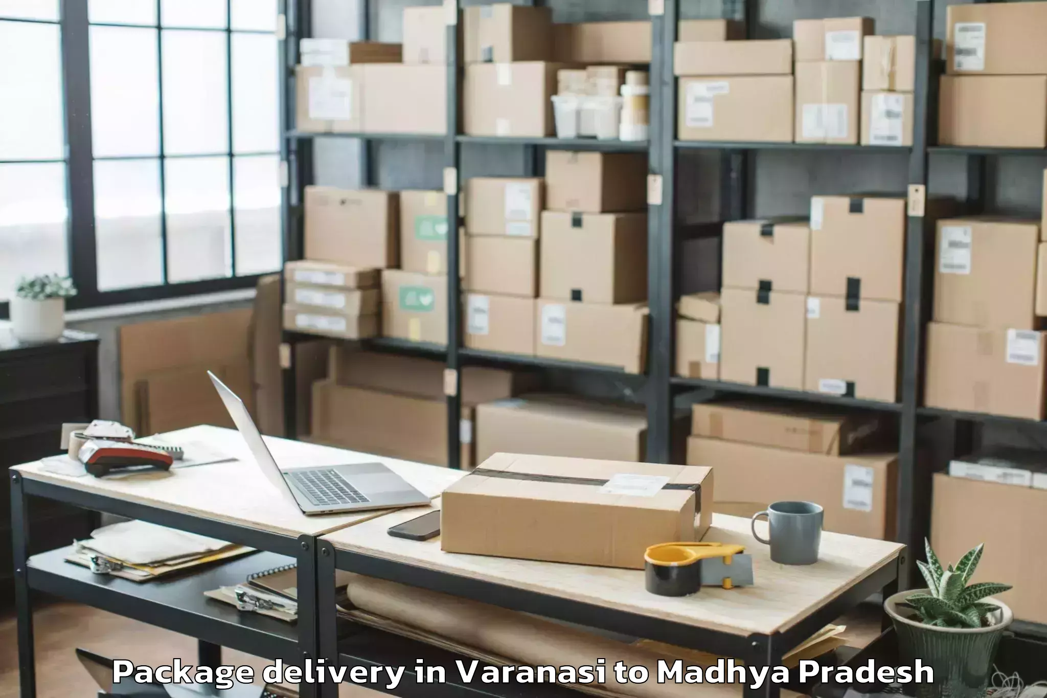 Get Varanasi to Badnagar Package Delivery